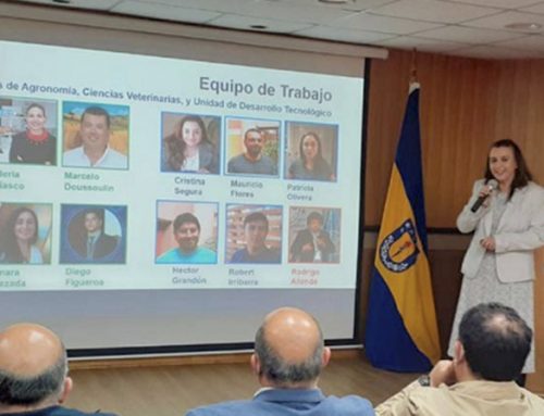 Public sector, private sector and academia highlight biochar as Ñuble’s diamond for poultry farming