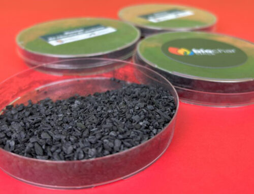 Biochar Chile consolidates its first year with promising advances in the creation of waste-based fertilizers